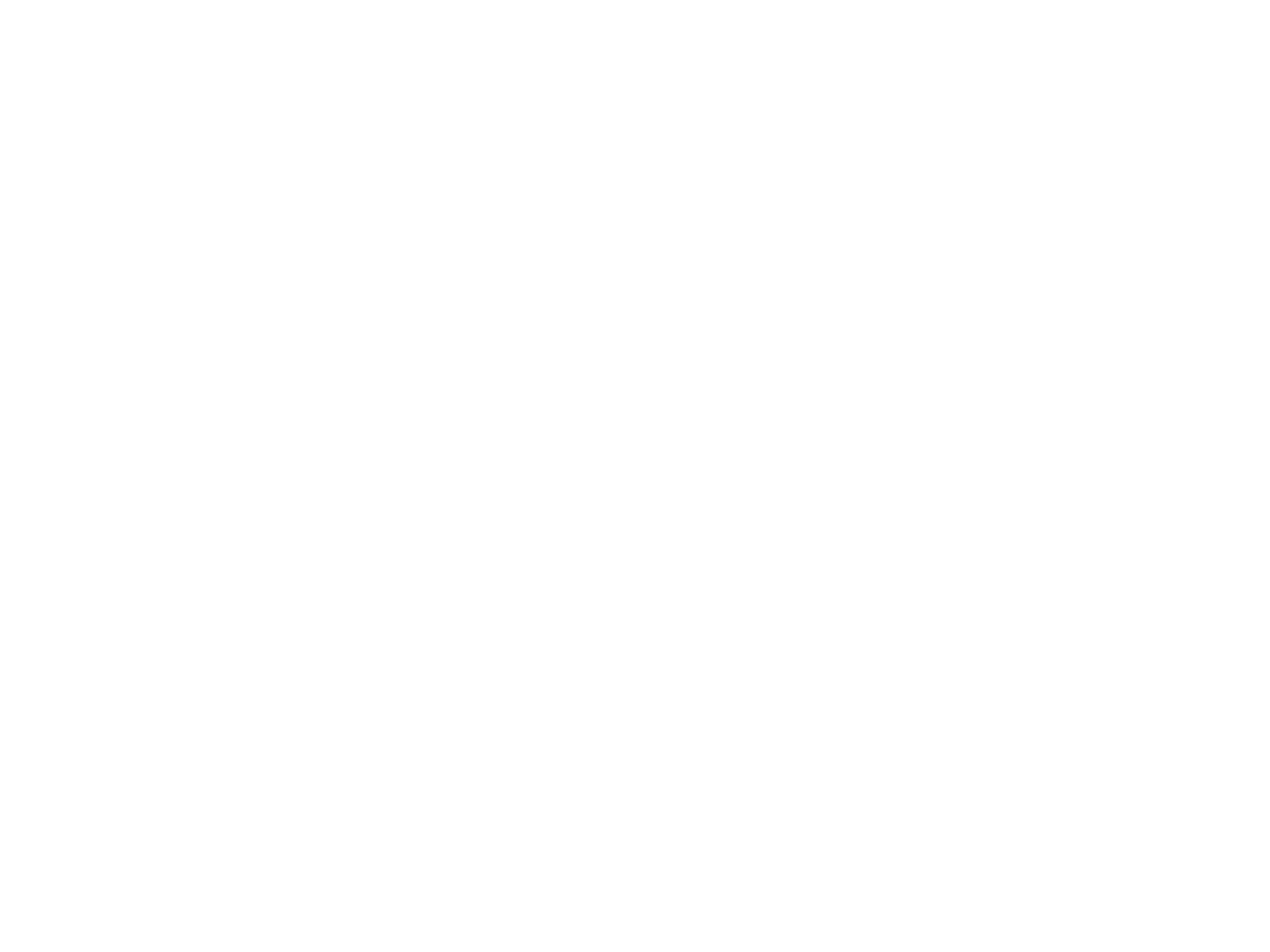 The Media Rally